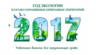 Чем завершается год, объявленный Годом экологии