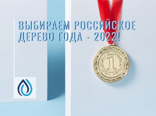 Выбираем Российское дерево года - 2022!